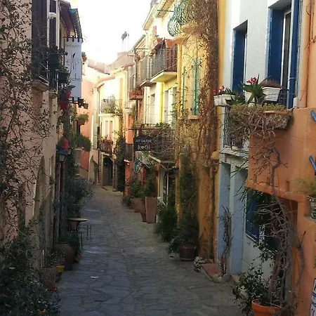 Charme A 20 M De La Plage Centre Village Collioure Exterior photo
