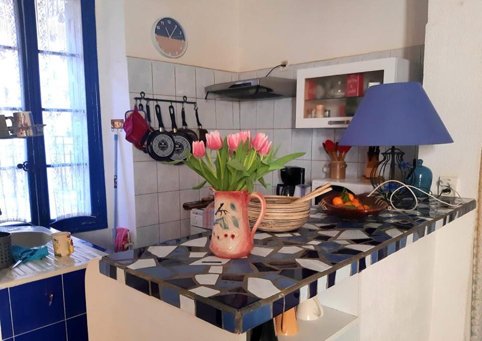 Charme A 20 M De La Centre Village * Collioure