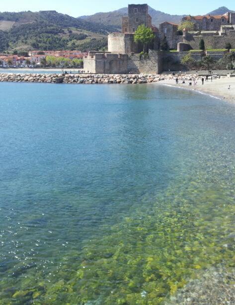 Charme A 20 M De La Centre Village Appartamento Collioure