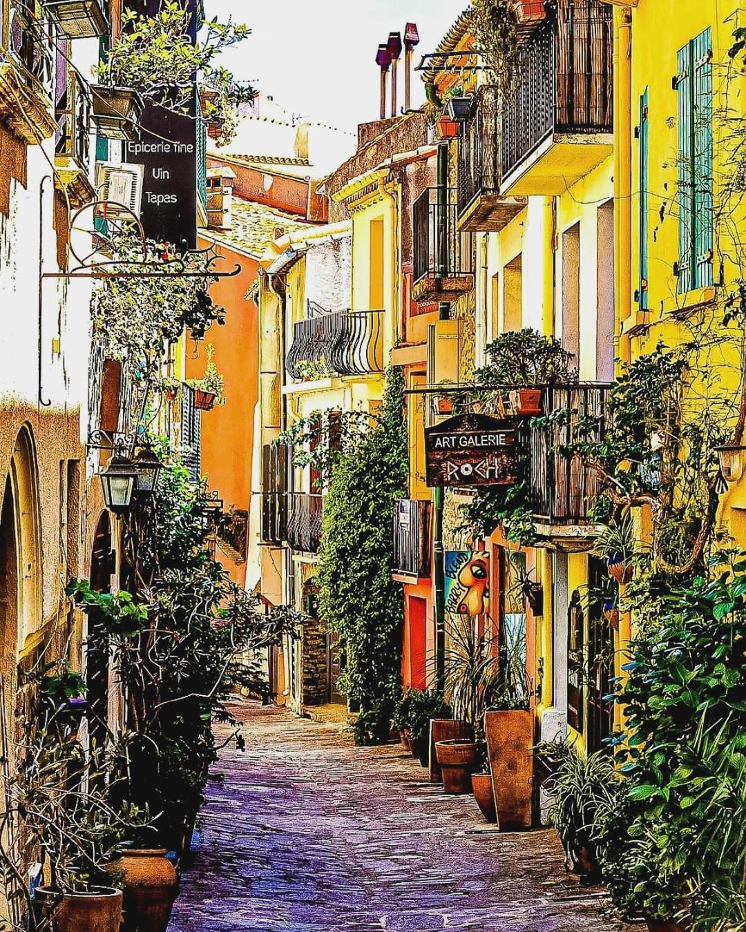 Charme A 20 M De La Centre Village Collioure