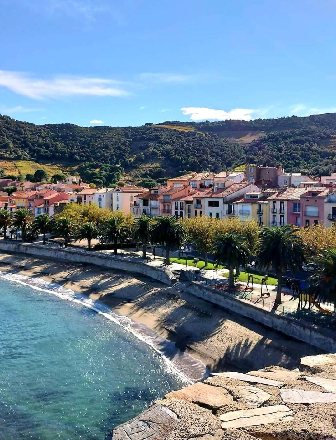 Charme A 20 M De La Centre Village Appartamento Collioure